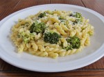 Gemelli with Broccoli & Garlic